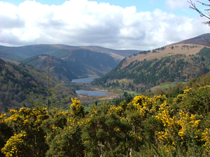 Looking down on the lakes of Glendalough from the Wicklow Way