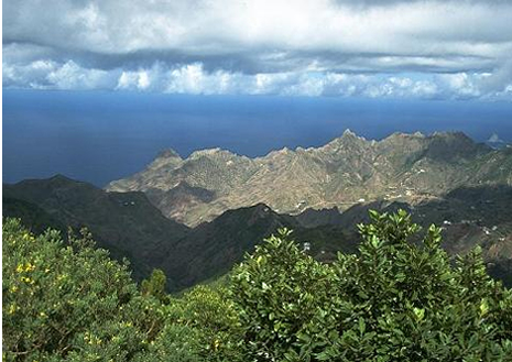 The lush mountainsides of the Anaga Range in northern Tenerife